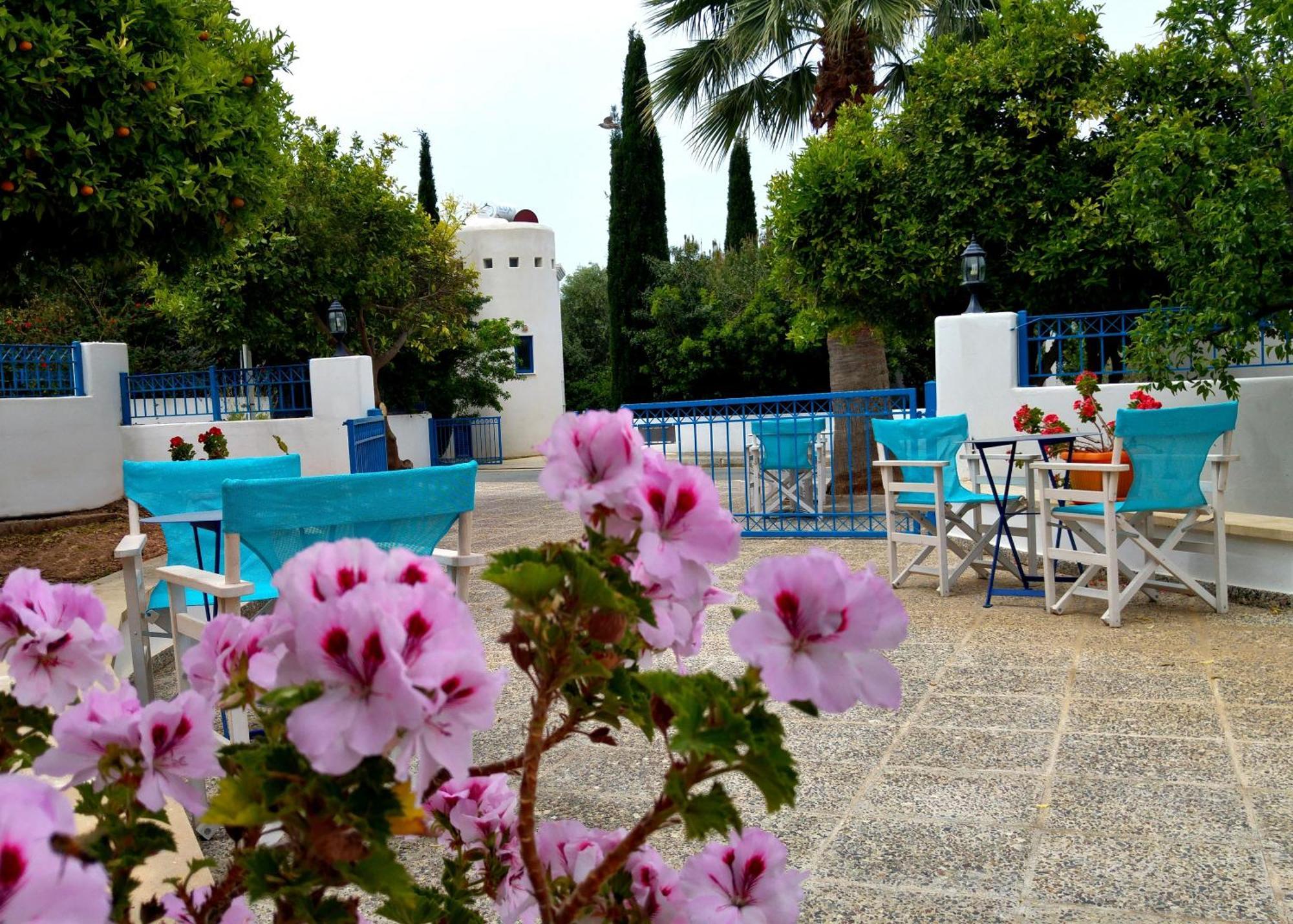 Azzurro Holiday Villas Pegeia Eksteriør billede
